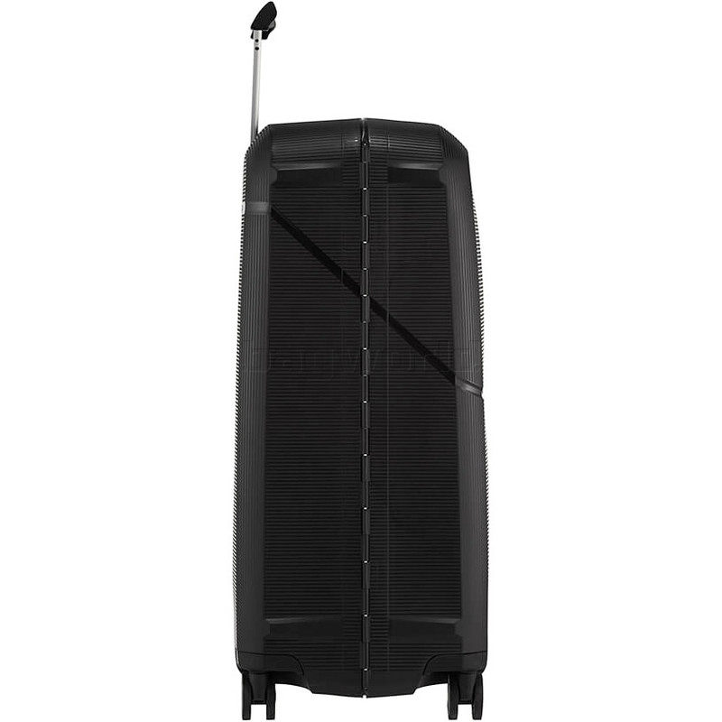 magnum trolley bags price