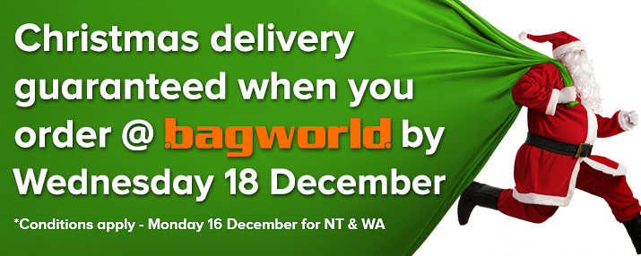 Christmas Delivery @ Bagworld